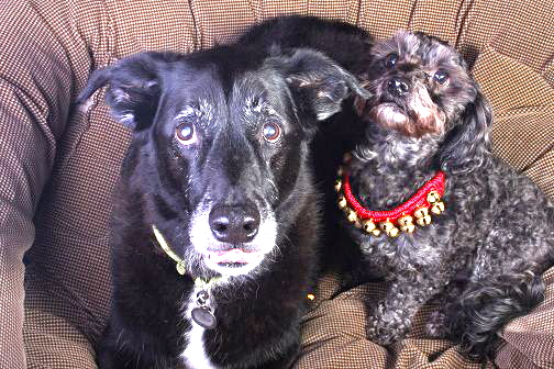 60923_10200153457904300_1122046103_n