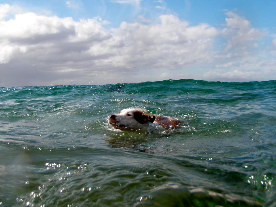 71587_10151421007509789_2144487200_n